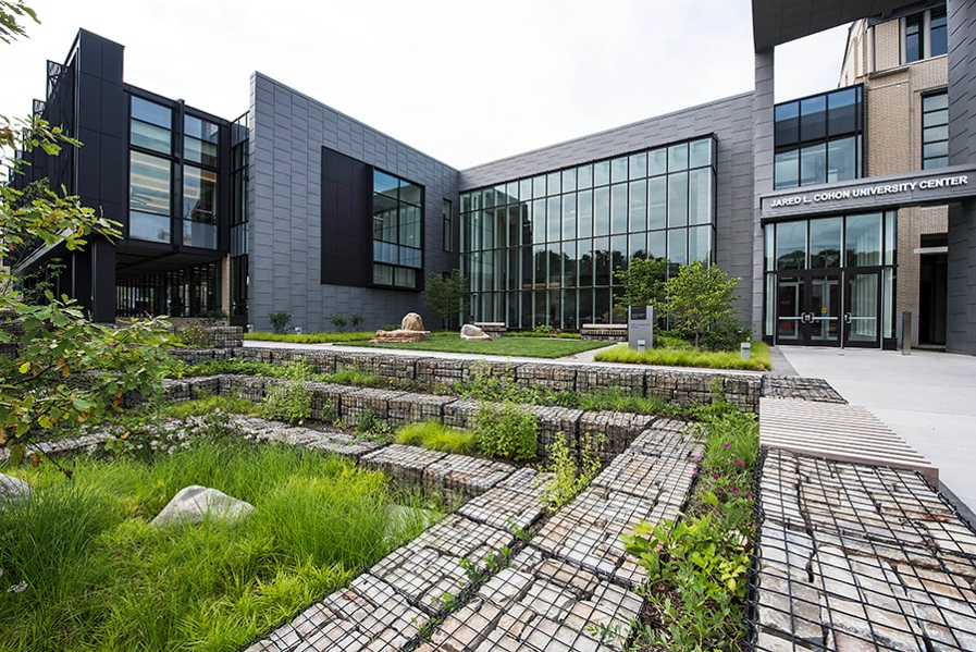 CUC water garden